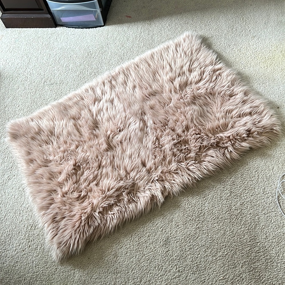 Small area rug